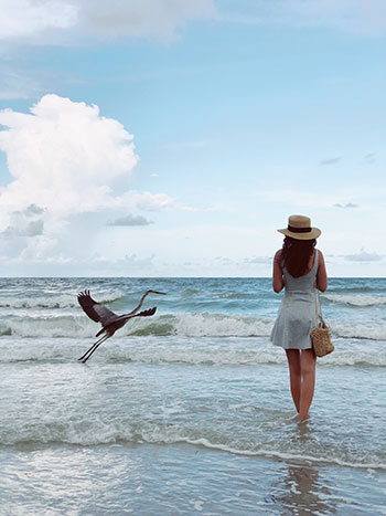 Woman standing alongside beach and bird in Treasure Island beach, FL