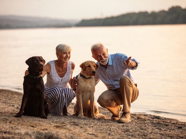 Shot of a happy senior couple playing with their dogs by the river.